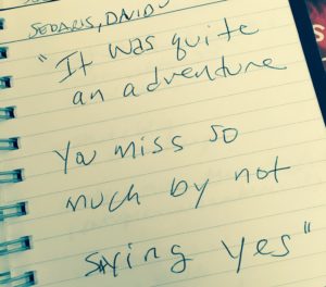 David Sedaris quote